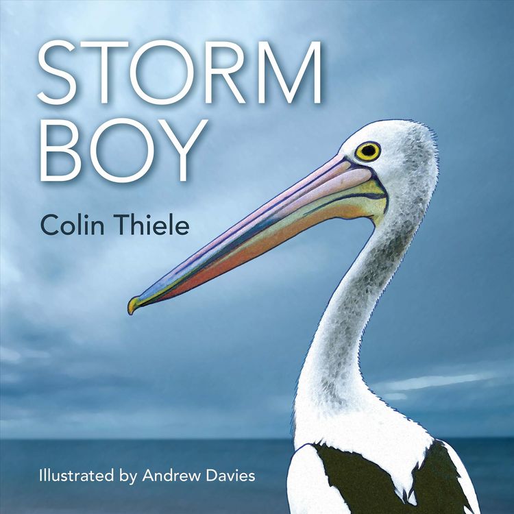 Produktbild: Storm Boy