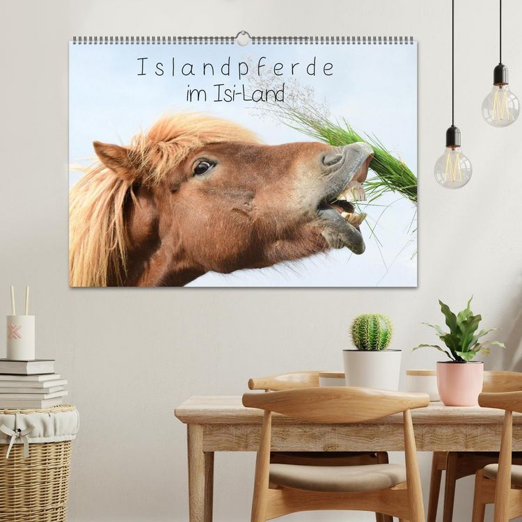 Produktbild: Islandpferde im Isi-Land (Wandkalender 2026 DIN A2 quer), CALVENDO Monatskalender