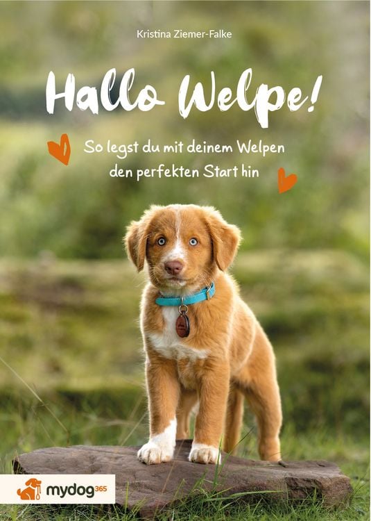Produktbild: Hallo Welpe!