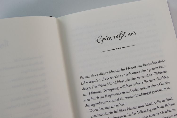 Produktbild: Gwin und das Herz des Drachen (Band 1)