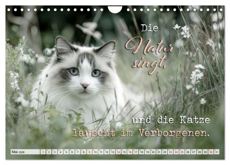 Produktbild: Katzenpoesie - Herzber&uuml;hrende Verse (Wandkalender 2026 DIN A4 quer), CALVENDO Monatskalender