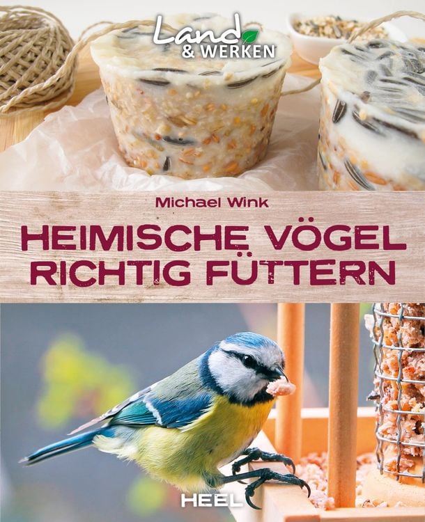 Bild vom Artikel Heimische Vögel richtig füttern vom Autor Michael Wink