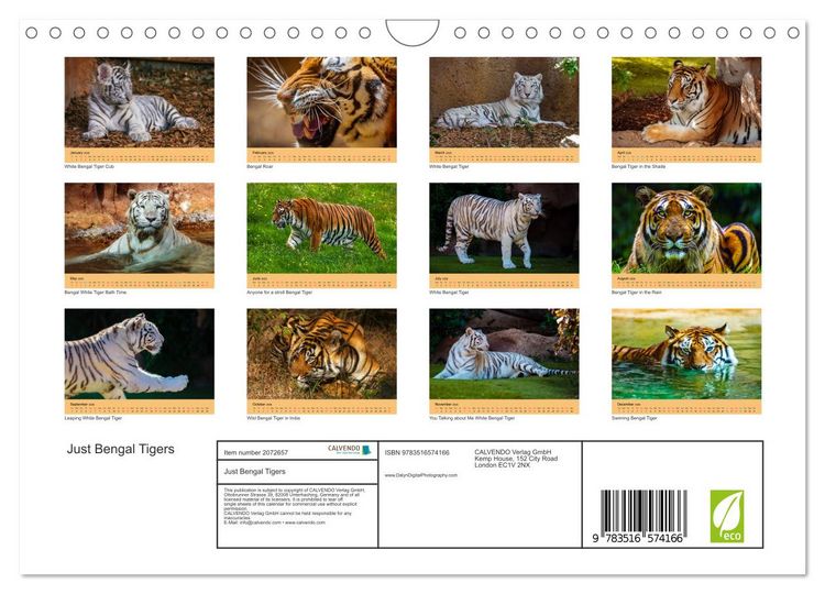 Produktbild: Just Bengal Tigers (Wall Calendar 2026 DIN A4 landscape), CALVENDO 12 Month Wall Calendar