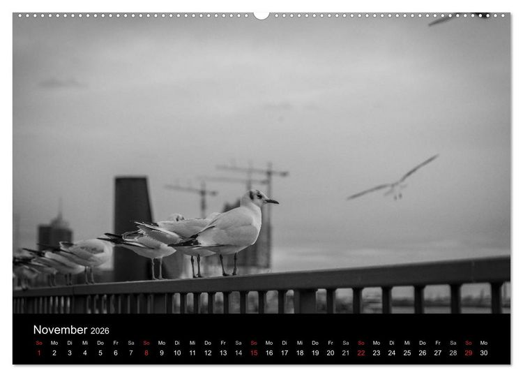 Produktbild: Mein Hamburg (hochwertiger Premium Wandkalender 2026 DIN A2 quer), Kunstdruck in Hochglanz