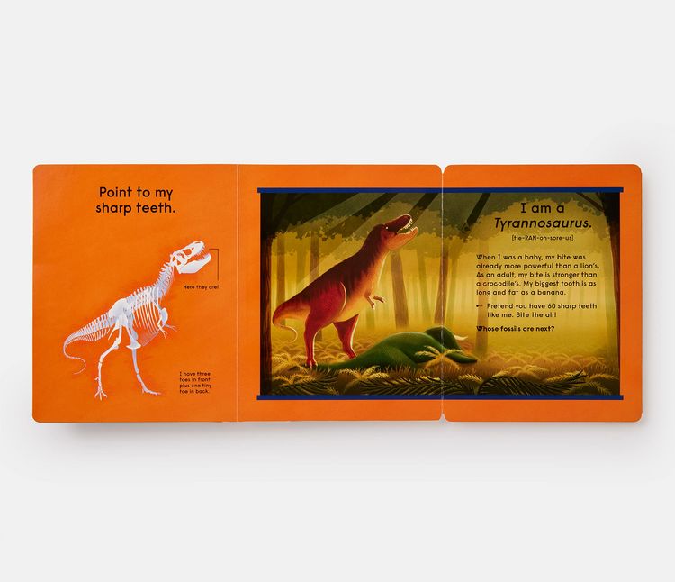 Produktbild: Who's That Dinosaur? An Animal Guessing Game