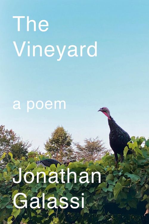 Produktbild: The Vineyard