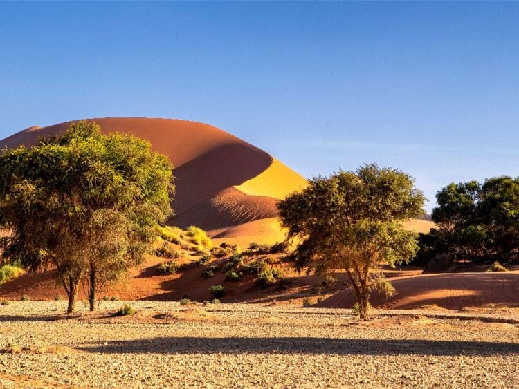Produktbild: CALVENDO Puzzle D&uuml;nen in Sossusvlei | 1000 Teile Lege-Gr&ouml;&szlig;e 64x48cm Foto-Puzzle f&uuml;r gl&uuml;ckliche Stunden