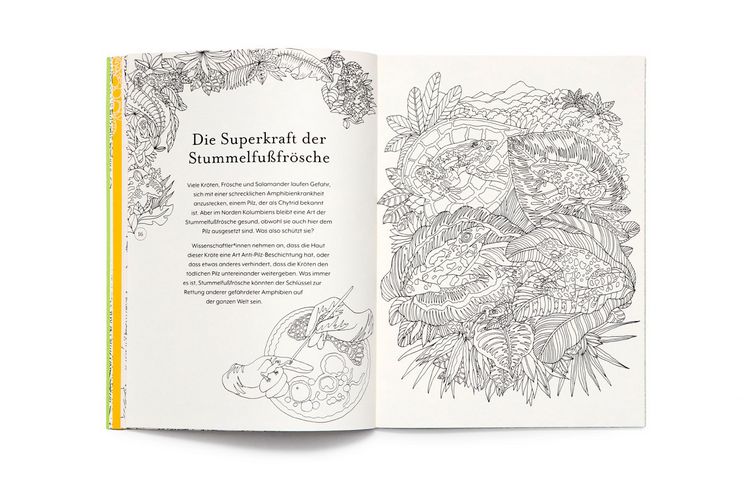 Produktbild: Die R&uuml;ckkehr der Wildnis. Ausmalbuch