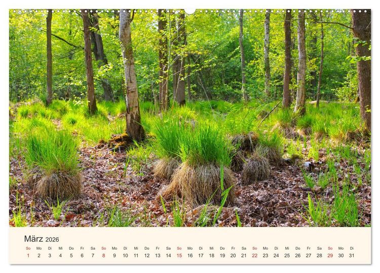 Produktbild: Ummanz - Naturparadies in der R&uuml;gener Boddenlandschaft (Wandkalender 2026 DIN A2 quer), CALVENDO Monatskalender