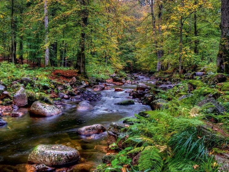 Produktbild: CALVENDO Puzzle Elendtal bei Schierke | 1000 Teile Lege-Gr&ouml;&szlig;e 64x48cm Foto-Puzzle f&uuml;r gl&uuml;ckliche Stunden