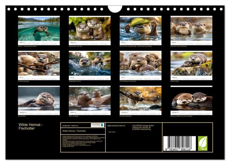 Produktbild: Wilde Heimat - Fischotter (Wandkalender 2026 DIN A4 quer), CALVENDO Monatskalender
