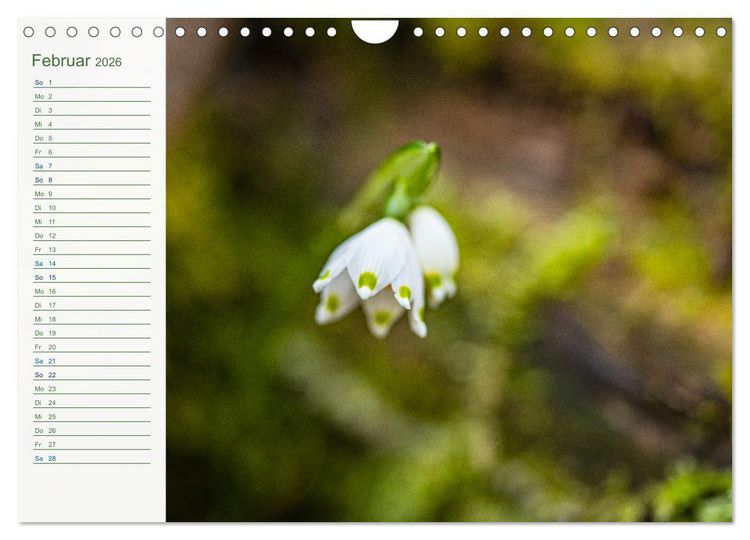 Produktbild: Wenn im Fr&uuml;hling die Natur wieder erwacht (Wandkalender 2026 DIN A4 quer), CALVENDO Monatskalender