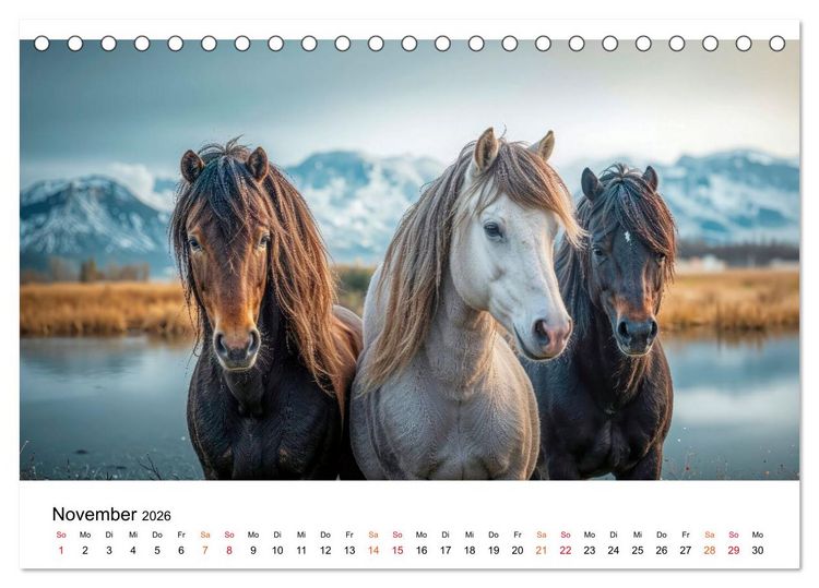 Produktbild: Islandpferde - Freiheit im Blick (Tischkalender 2026 DIN A5 quer), CALVENDO Monatskalender