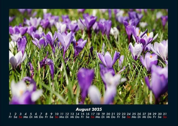 Produktbild: Blumenkalender 2025 Fotokalender DIN A4