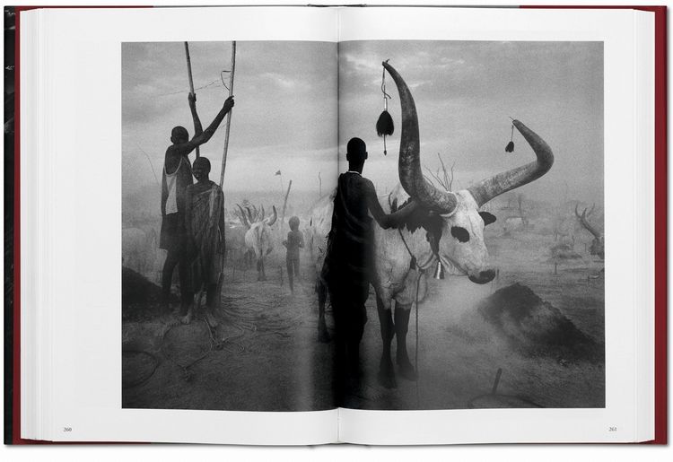 Produktbild: Sebasti&atilde;o Salgado. GENESIS