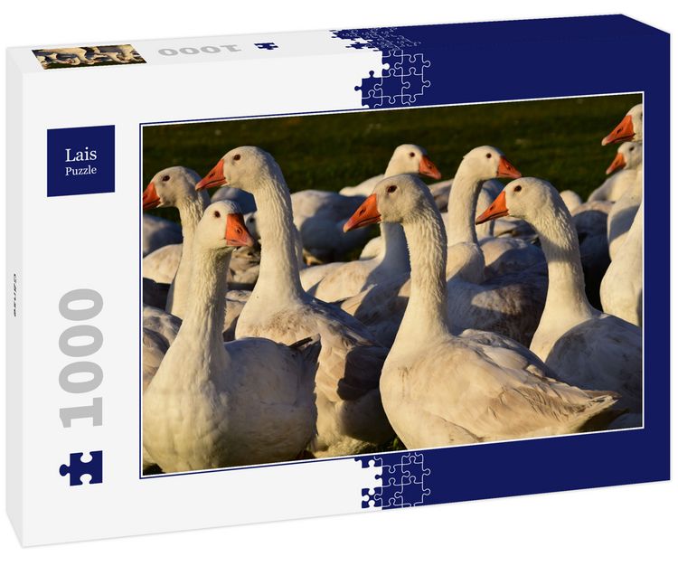 Produktbild: Lais Puzzle G&auml;nse 1000 Teile