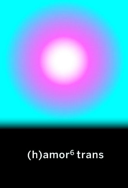 Produktbild: (h)amor 6 trans