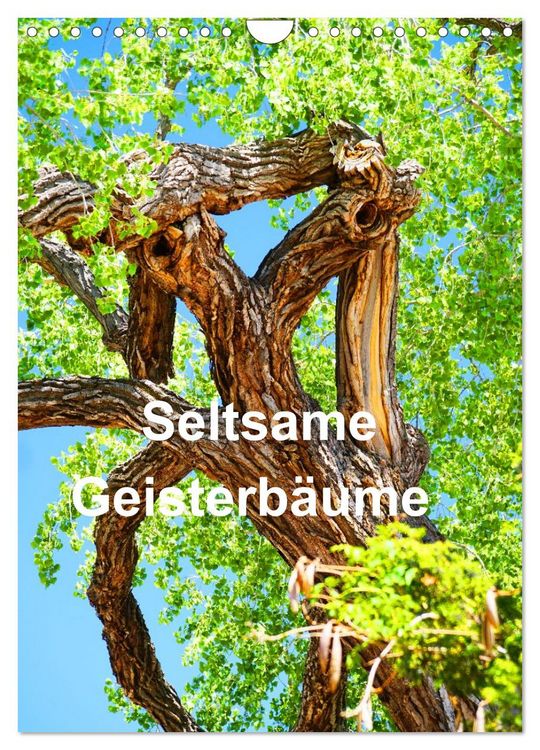 Produktbild: Geisterb&auml;ume (Wandkalender 2026 DIN A4 hoch), CALVENDO Monatskalender