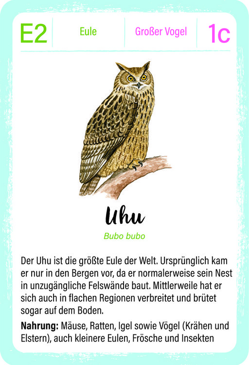 Produktbild: Expedition Natur Quartett V&ouml;gel