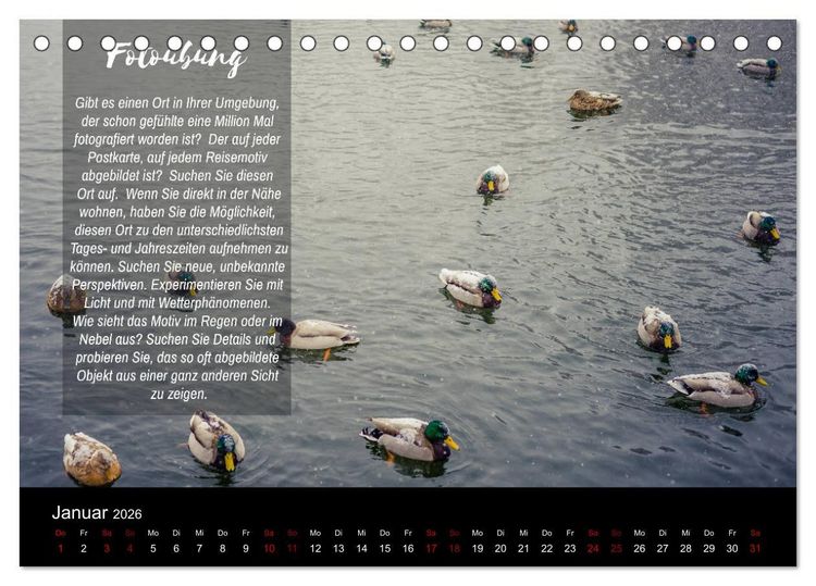 Produktbild: Die Sch&ouml;nheit der Natur - Naturfotografie-Kalender mit Foto- und Kreativ&uuml;bungen (Tischkalender 2026 DIN A5 quer), CALVENDO Monatskalender
