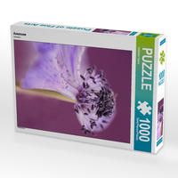 Produktbild: CALVENDO Puzzle Anemone | 1000 Teile Lege-Gr&ouml;&szlig;e 64x48cm Foto-Puzzle f&uuml;r gl&uuml;ckliche Stunden