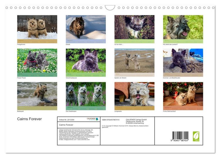 Produktbild: Cairns Forever (Wandkalender 2026 DIN A3 quer), CALVENDO Monatskalender