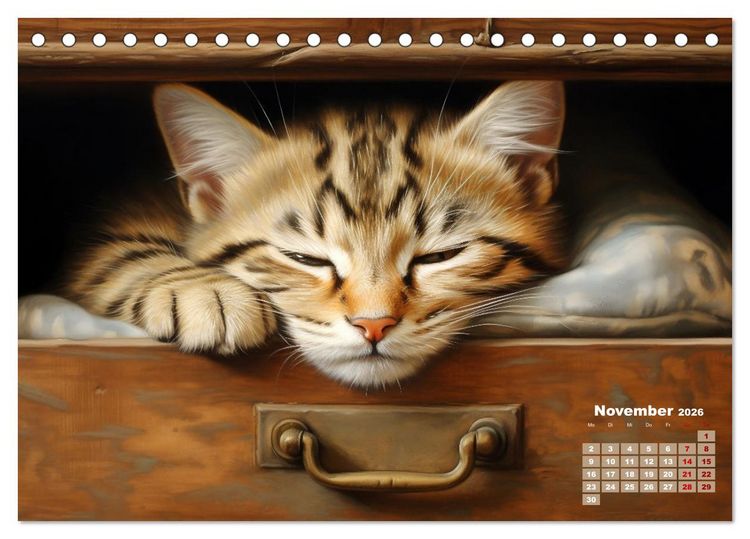 Produktbild: Lieblingsschlafpl&auml;tze (Tischkalender 2026 DIN A5 quer), CALVENDO Monatskalender