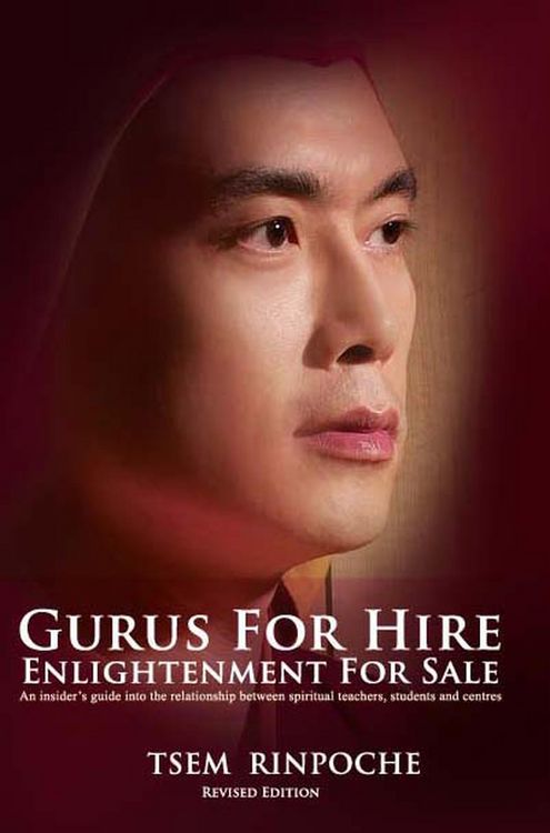 Produktbild: Gurus for Hire: Enlightenment for Sale