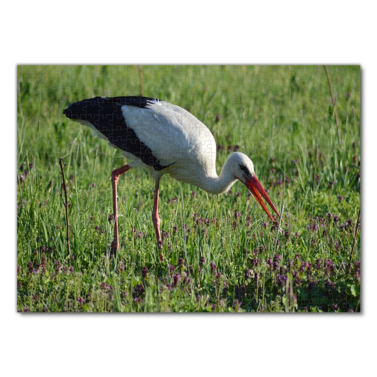 Produktbild: Lais Puzzle Storch 500 Teile