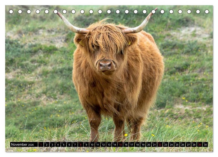 Produktbild: Egmond aan Zee - Nat&uuml;rlich (Tischkalender 2026 DIN A5 quer), CALVENDO Monatskalender