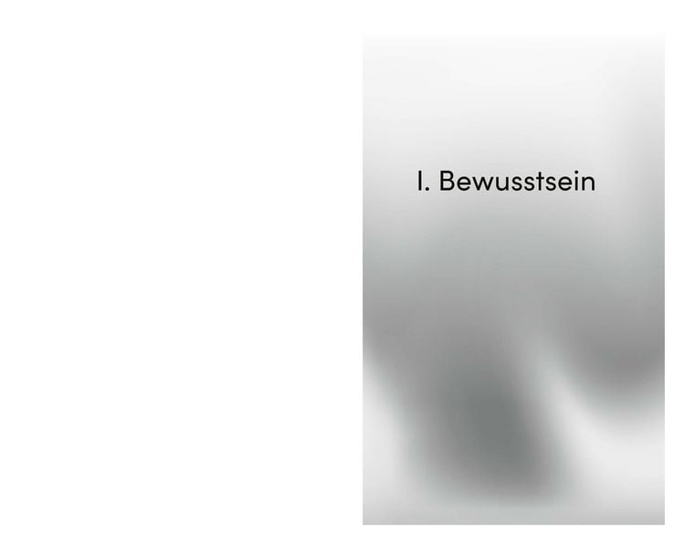 Produktbild: Die Seele des Psychotherapeuten