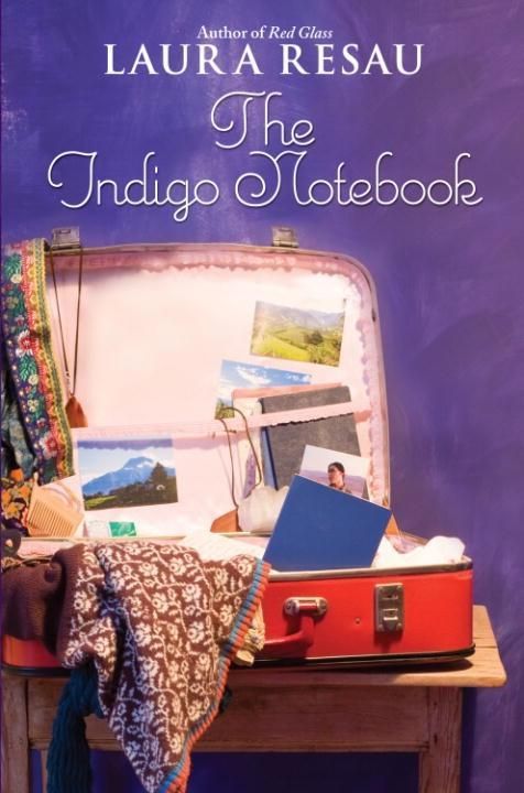 Produktbild: The Indigo Notebook
