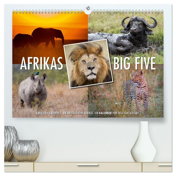 Produktbild: Emotionale Momente: Afrikas Big Five (hochwertiger Premium Wandkalender 2026 DIN A2 quer), Kunstdruck in Hochglanz