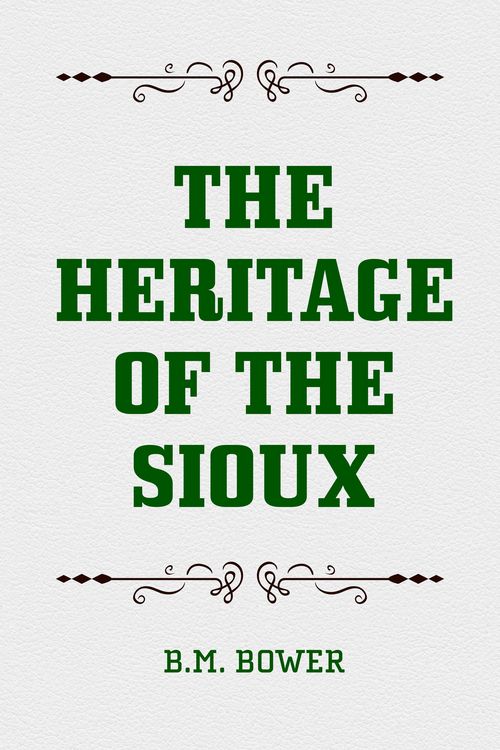 Produktbild: The Heritage of the Sioux