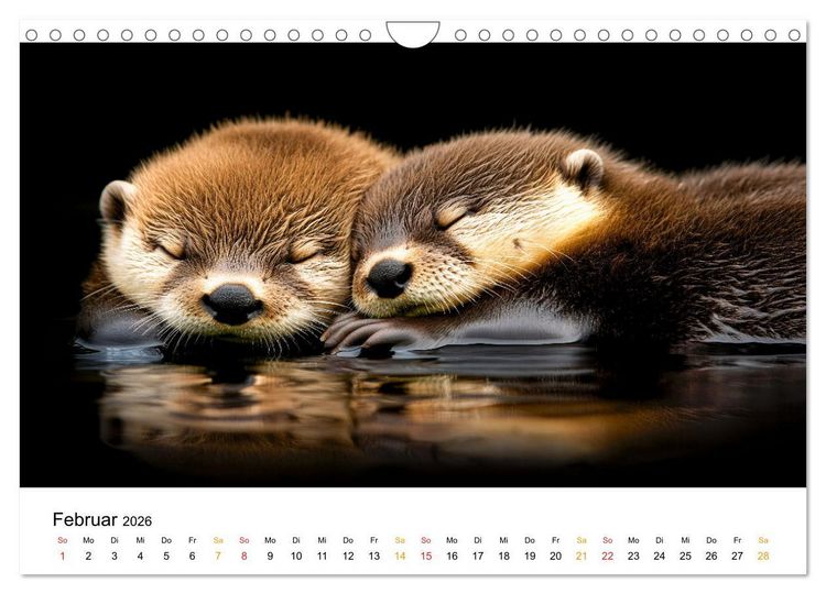 Produktbild: Wilde Heimat - Tiere unserer Natur (Wandkalender 2026 DIN A4 quer), CALVENDO Monatskalender