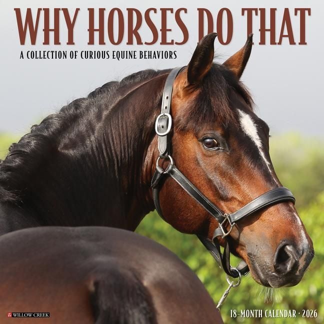 Produktbild: Why Horses Do That 2026 12 X 12 Wall Calendar