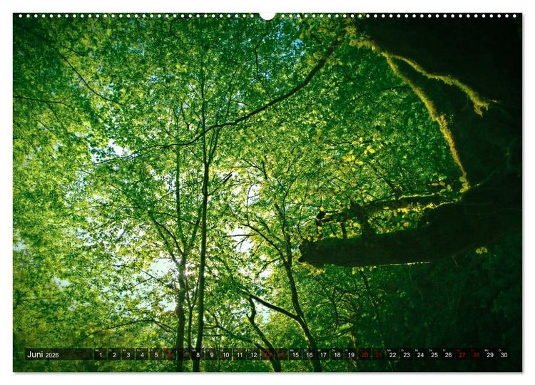 Produktbild: Slowenien - Soca Tal (hochwertiger Premium Wandkalender 2026 DIN A2 quer), Kunstdruck in Hochglanz