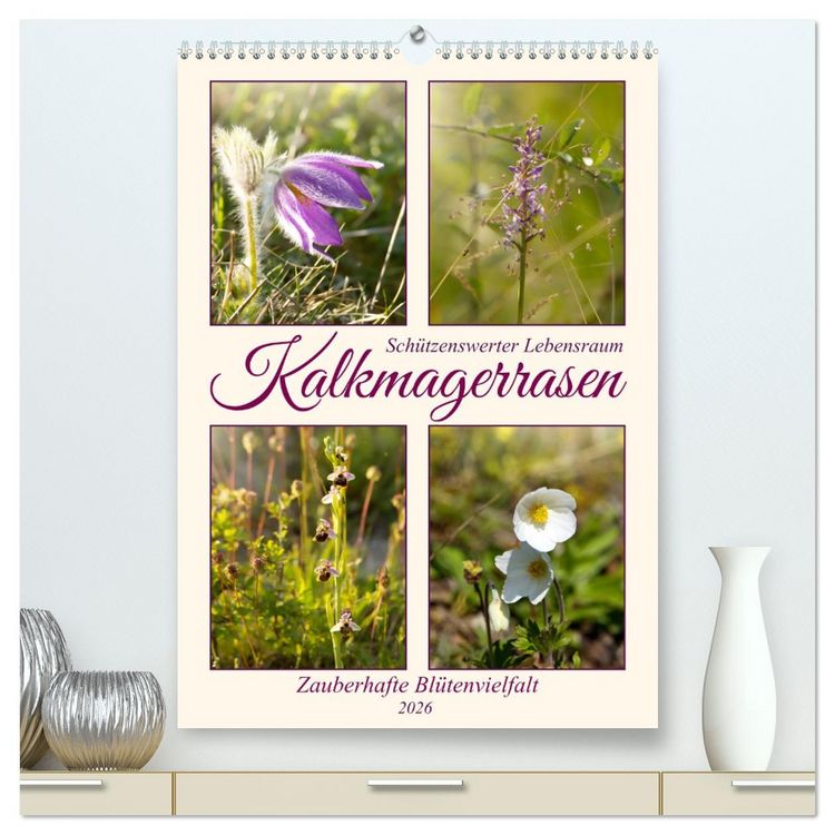 Produktbild: Kalkmagerrasen (hochwertiger Premium Wandkalender 2026 DIN A2 hoch), Kunstdruck in Hochglanz
