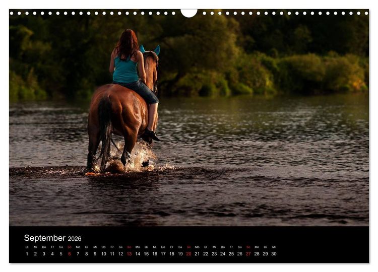 Produktbild: Pferdekalender (Wandkalender 2026 DIN A3 quer), CALVENDO Monatskalender