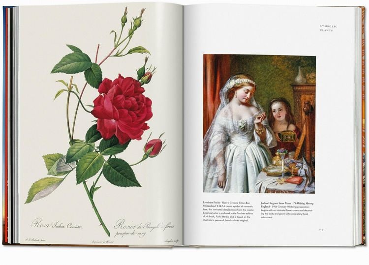 Produktbild: Pflanzen-Magie. Bibliothek der Esoterik