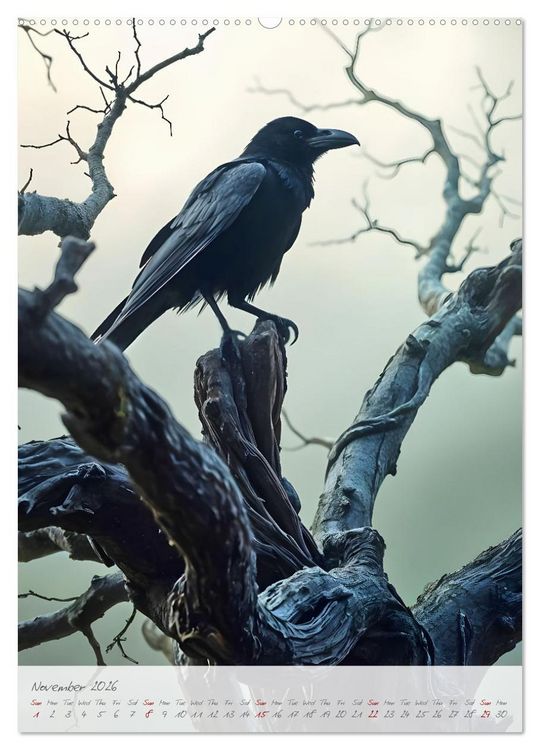Produktbild: Nocturnal wings - A mystic raven companion for the year (High Quality Premium Wall Calendar 2026 DIN A2 portrait),CALVENDO 12 Month Wall Calendar
