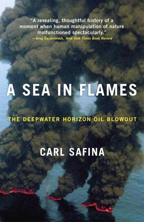 Produktbild: A Sea in Flames