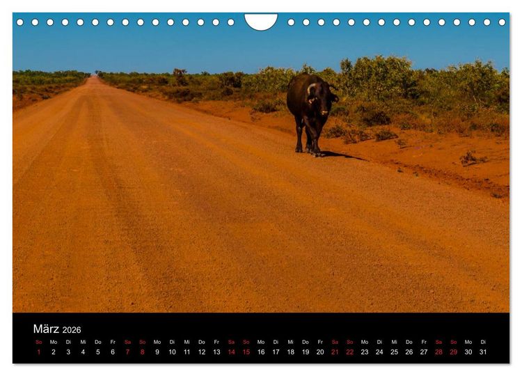 Produktbild: Australien - Der Westen (Wandkalender 2026 DIN A4 quer), CALVENDO Monatskalender