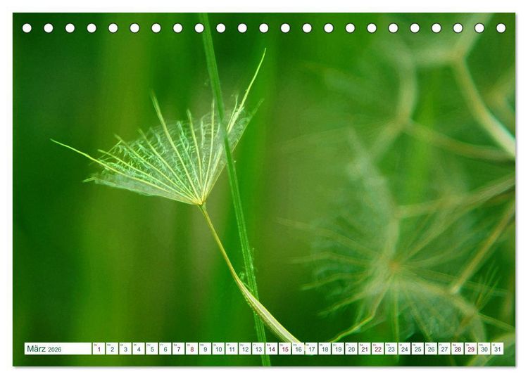 Produktbild: GR&Uuml;N . Die Kraft der Natur (Tischkalender 2026 DIN A5 quer), CALVENDO Monatskalender