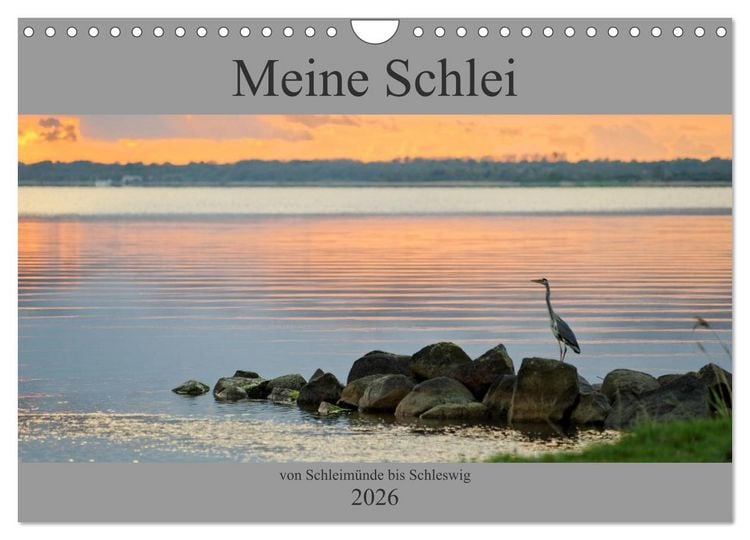 Produktbild: Meine Schlei 2026 (Wandkalender 2026 DIN A4 quer), CALVENDO Monatskalender