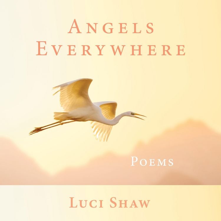 Produktbild: Angels Everywhere