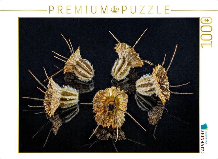 Produktbild: CALVENDO Puzzle Samen der Skabiose | 1000 Teile Lege-Gr&ouml;&szlig;e 64x48cm Foto-Puzzle f&uuml;r gl&uuml;ckliche Stunden
