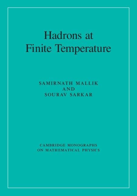 Produktbild: Hadrons at Finite Temperature
