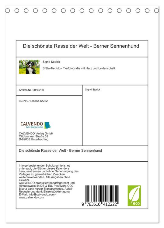 Produktbild: Die sch&ouml;nste Rasse der Welt - Berner Sennenhund (Tischkalender 2026 DIN A5 hoch), CALVENDO Monatskalender