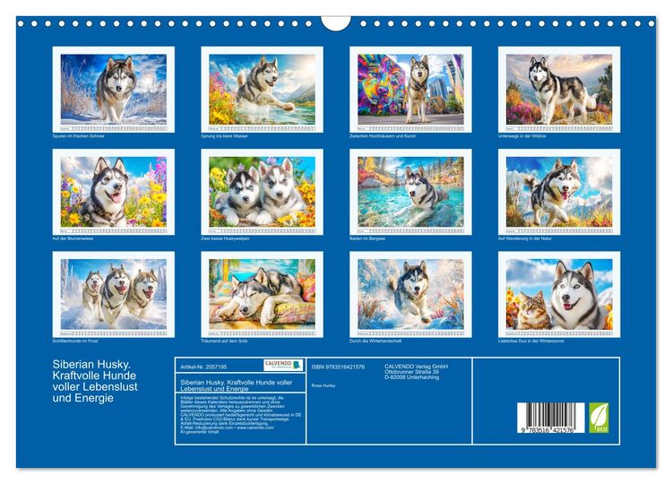 Produktbild: Siberian Husky. Kraftvolle Hunde voller Lebenslust und Energie (Wandkalender 2026 DIN A3 quer), CALVENDO Monatskalender
